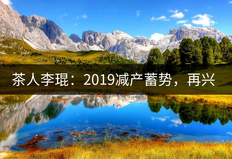 茶人李琨：2019減產(chǎn)蓄勢，再興普洱茶