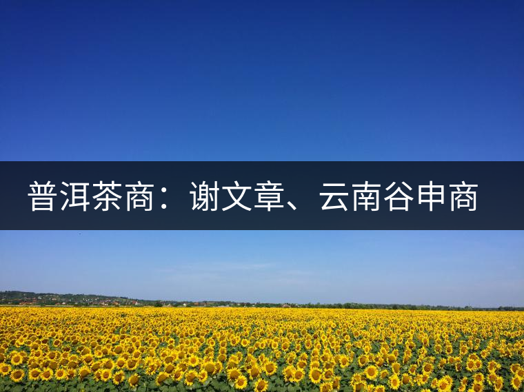 普洱茶商：謝文章、云南谷申商貿(mào)有限公司總經(jīng)理
