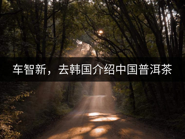 車智新，去韓國介紹中國普洱茶
