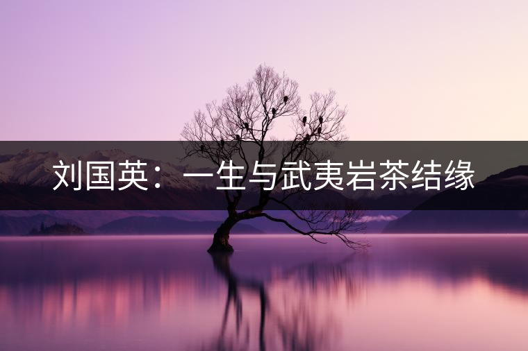 劉國英:一生與武夷巖茶結(jié)緣 劉國英:一生與武夷巖茶結(jié)緣