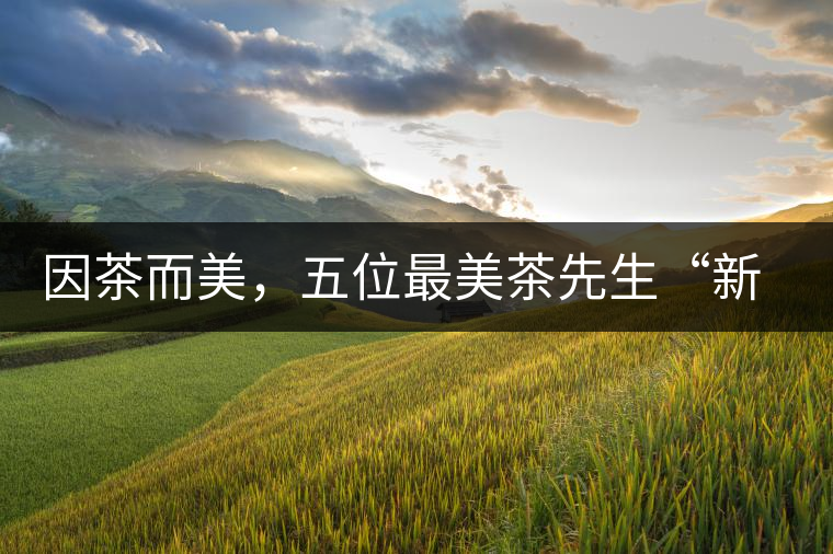 因茶而美，五位最美茶先生“新鮮出爐”啦