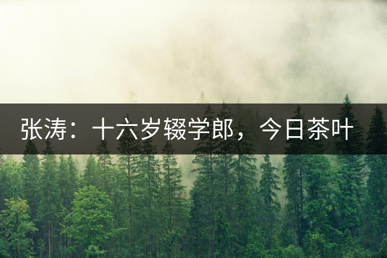 張濤：十六歲輟學(xué)郎，今日茶葉中堅(jiān)