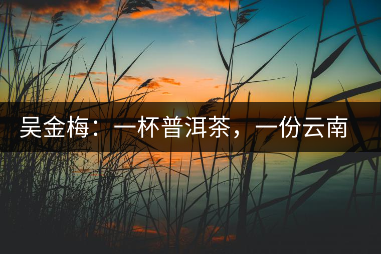 吳金梅：一杯普洱茶，一份云南情