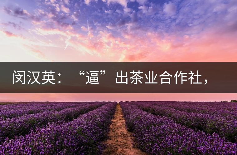 閔漢英：“逼”出茶業(yè)合作社，帶領(lǐng)村民走上致富路