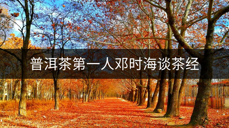 普洱茶第一人鄧時(shí)海談茶經(jīng) 普洱茶第一人鄧時(shí)海談茶經(jīng)