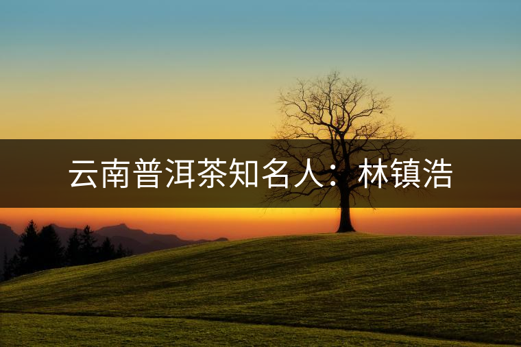 云南普洱茶知名人:林鎮(zhèn)浩 云南普洱茶知名人:林鎮(zhèn)浩