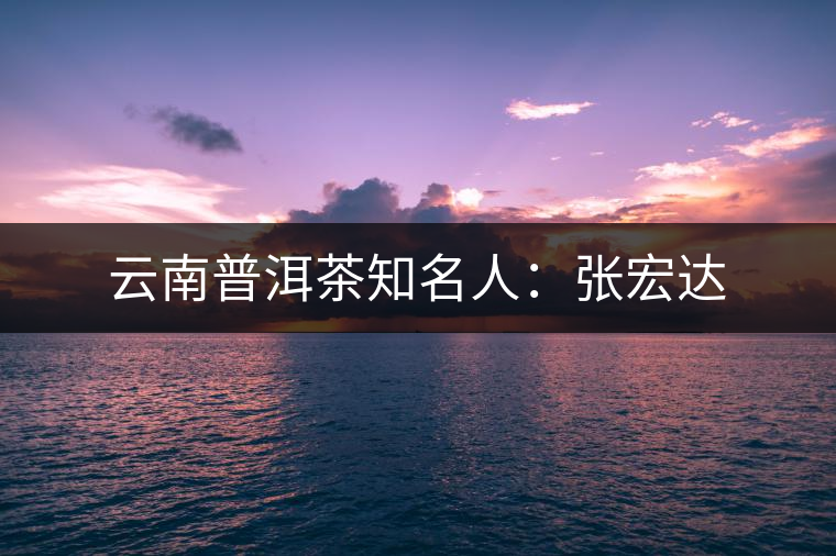 云南普洱茶知名人：張宏達(dá)