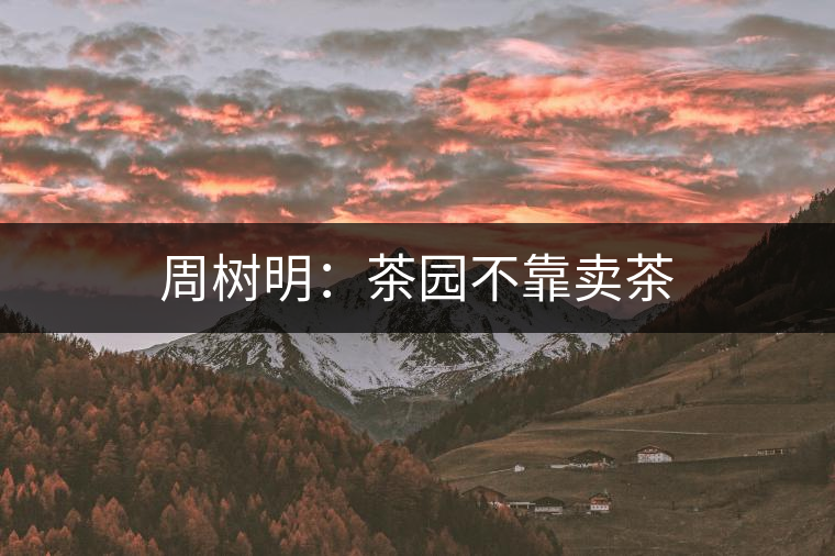 周樹(shù)明：茶園不靠賣(mài)茶