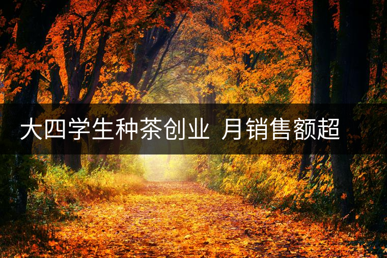 大四學生種茶創(chuàng)業(yè) 月銷售額超五十萬 大四學生種茶創(chuàng)業(yè) 月銷售額超五十萬