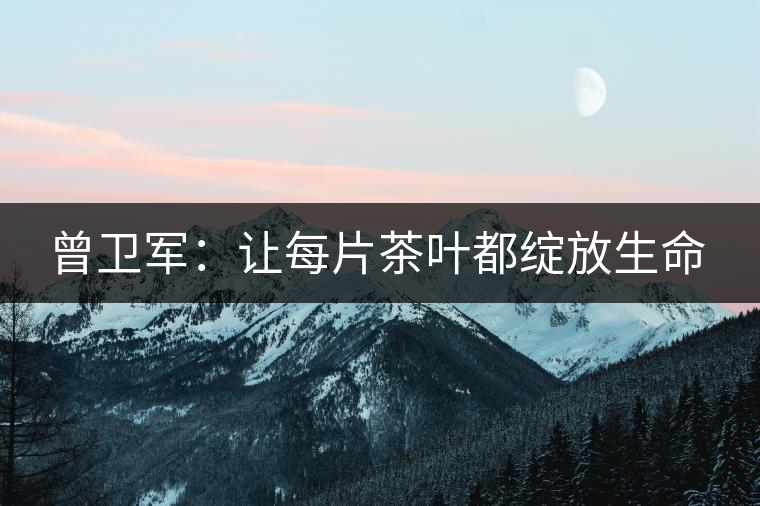 曾衛(wèi)軍:讓每片茶葉都綻放生命 曾衛(wèi)軍:讓每片茶葉都綻放生命