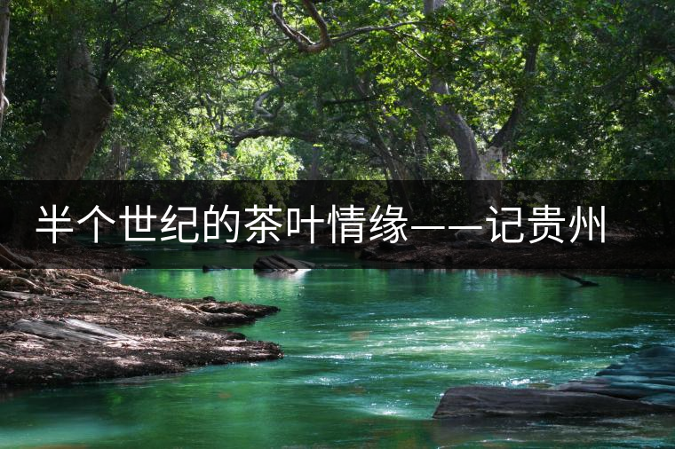 半個(gè)世紀(jì)的茶葉情緣——記貴州茶葉終身成就獎(jiǎng)獲得者汪桓武 半個(gè)世紀(jì)的茶葉情緣——記貴州茶葉終身成就獎(jiǎng)獲得者汪桓武