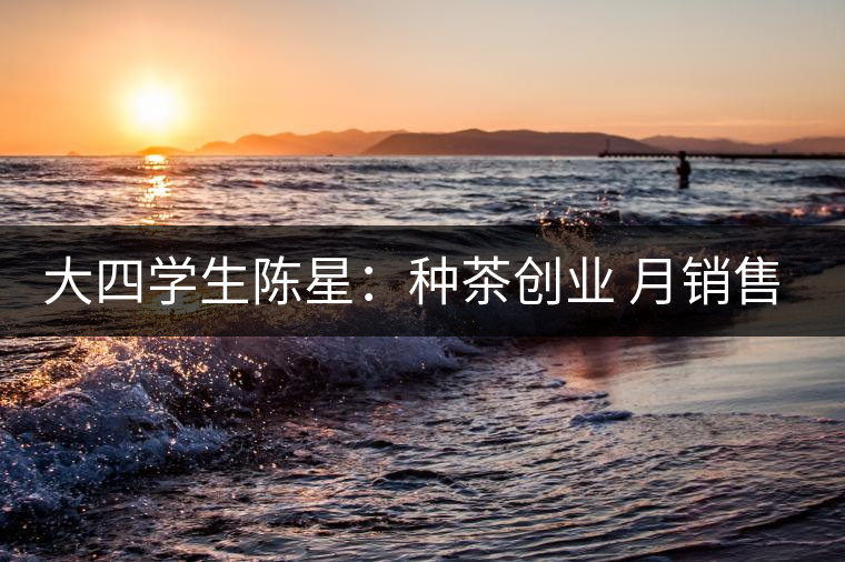 大四學生陳星:種茶創(chuàng)業(yè) 月銷售額超五十萬 大四學生陳星:種茶創(chuàng)業(yè) 月銷售額超五十萬