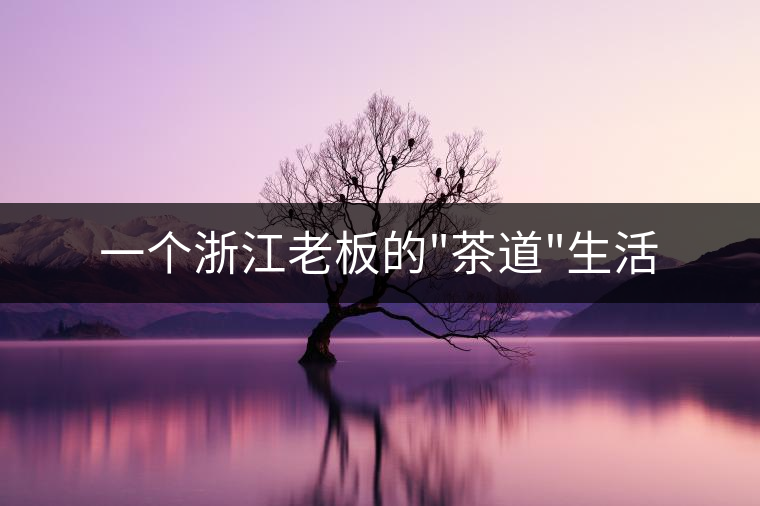 一個(gè)浙江老板的 一個(gè)浙江老板的