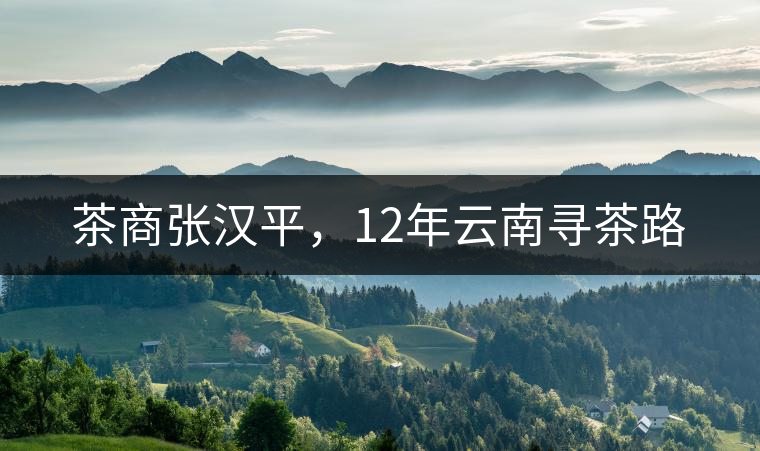 茶商張漢平，12年云南尋茶路