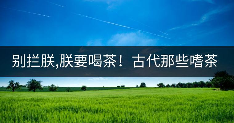 別攔朕,朕要喝茶！古代那些嗜茶如命的皇帝