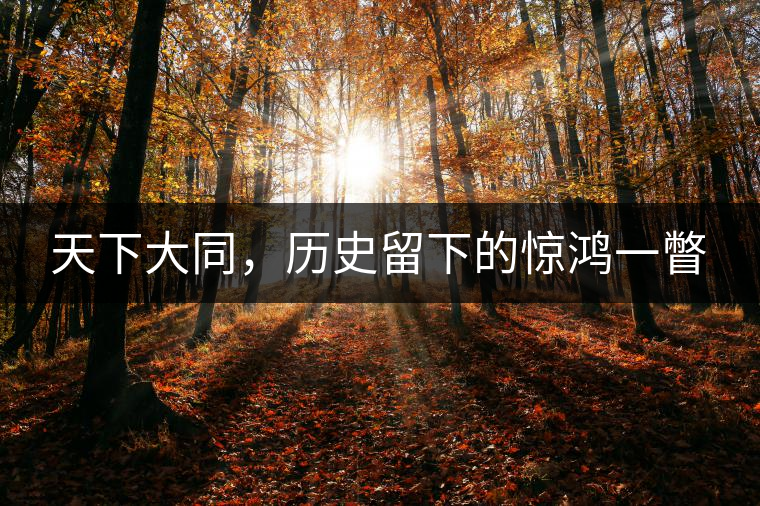 天下大同，歷史留下的驚鴻一瞥