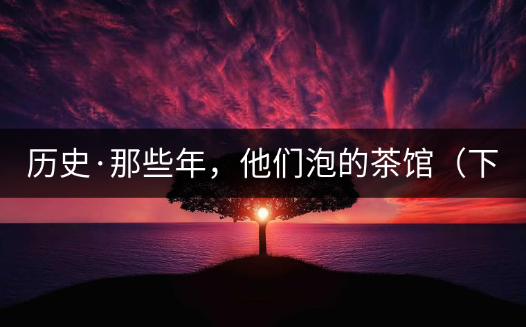 歷史·那些年，他們泡的茶館（下）