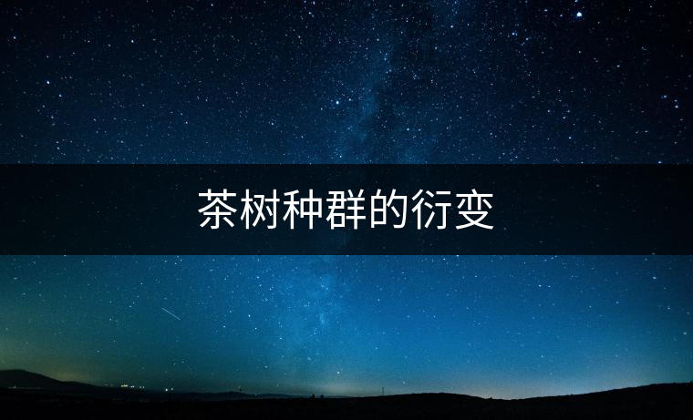 茶樹種群的衍變 茶樹種群的衍變