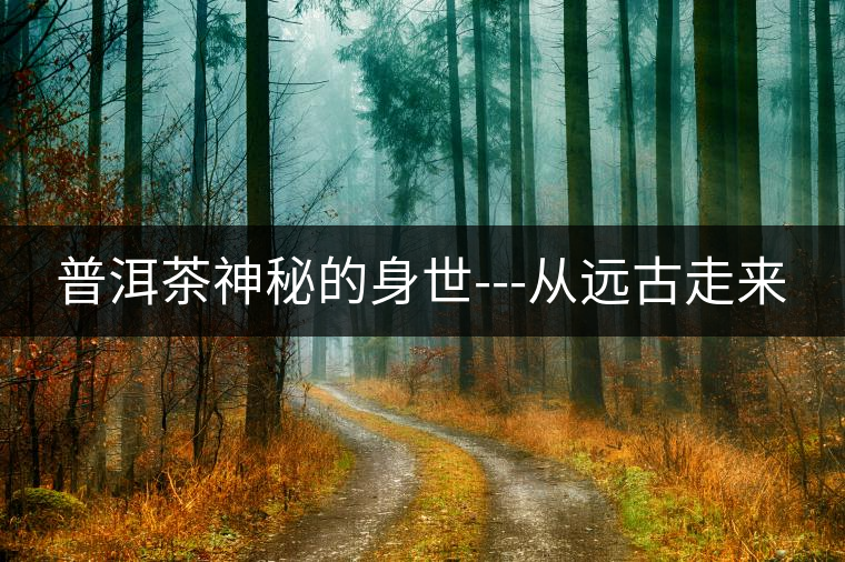 普洱茶神秘的身世---從遠(yuǎn)古走來(lái)