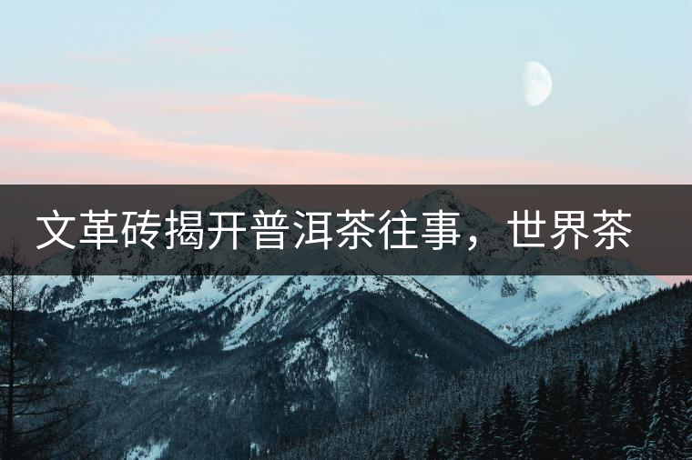 文革磚揭開普洱茶往事，世界茶文化交流協(xié)會成員共品經(jīng)典文革磚！