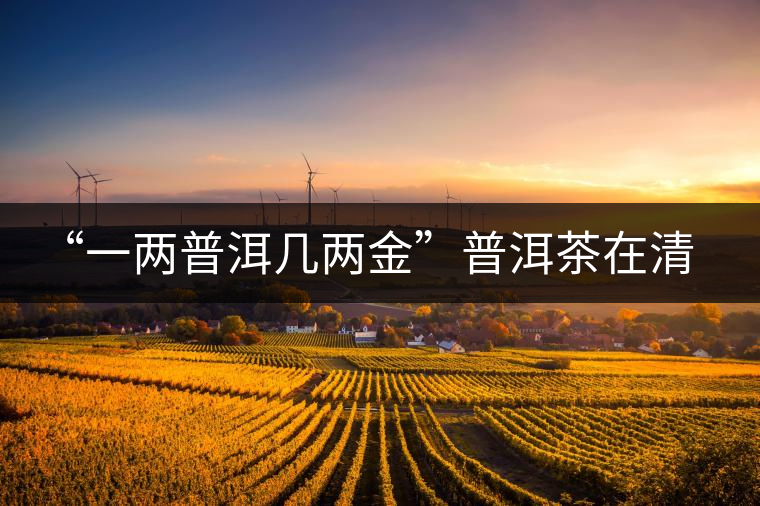 “一兩普洱幾兩金”普洱茶在清代為啥這么火？！