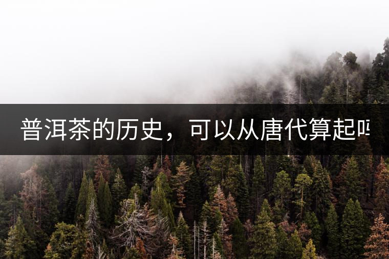 普洱茶的歷史，可以從唐代算起嗎？