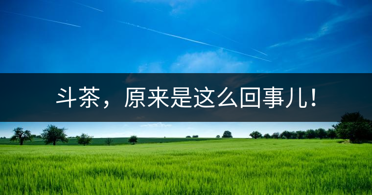 斗茶，原來是這么回事兒！