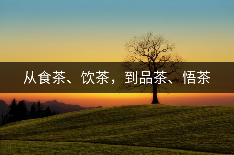 從食茶、飲茶，到品茶、悟茶