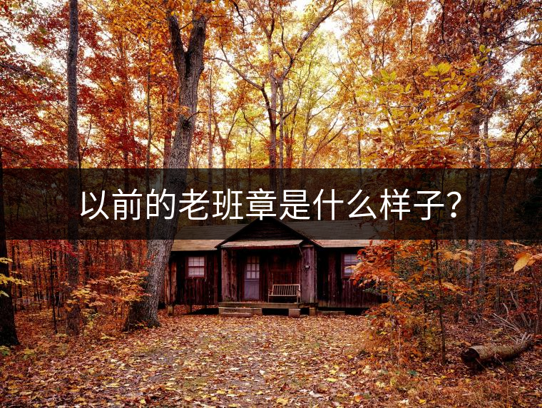 以前的老班章是什么樣子？
