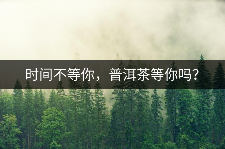 時間不等你，普洱茶等你嗎？