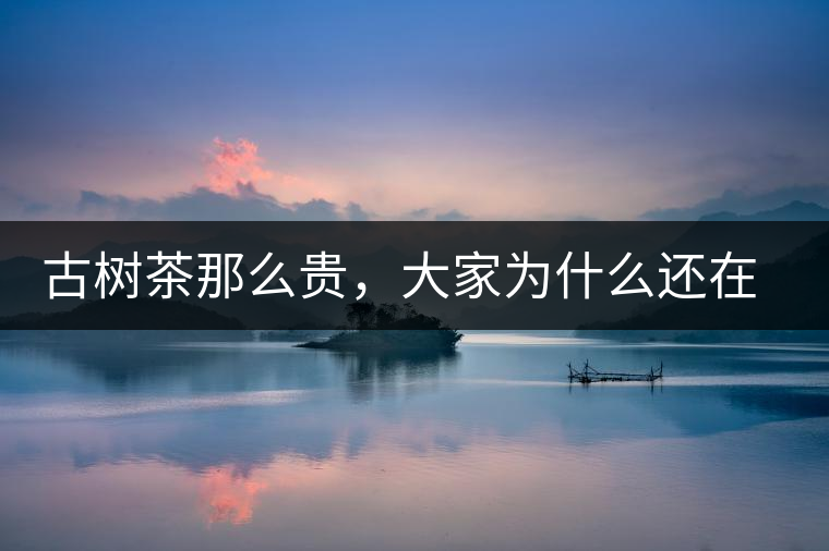 古樹茶那么貴，大家為什么還在瘋狂追求？