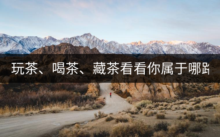 玩茶、喝茶、藏茶看看你屬于哪路茶神！