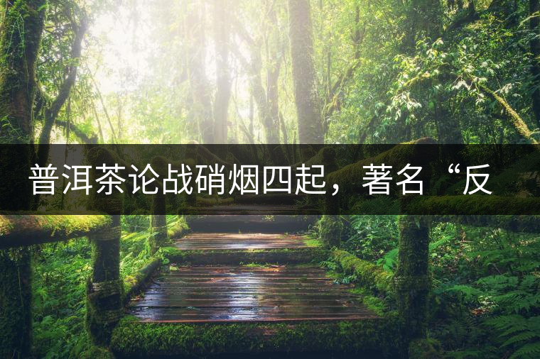 普洱茶論戰(zhàn)硝煙四起，著名“反偽斗士”司馬南有話說