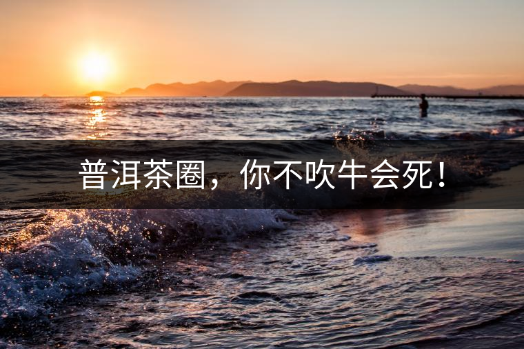 普洱茶圈，你不吹牛會(huì)死！