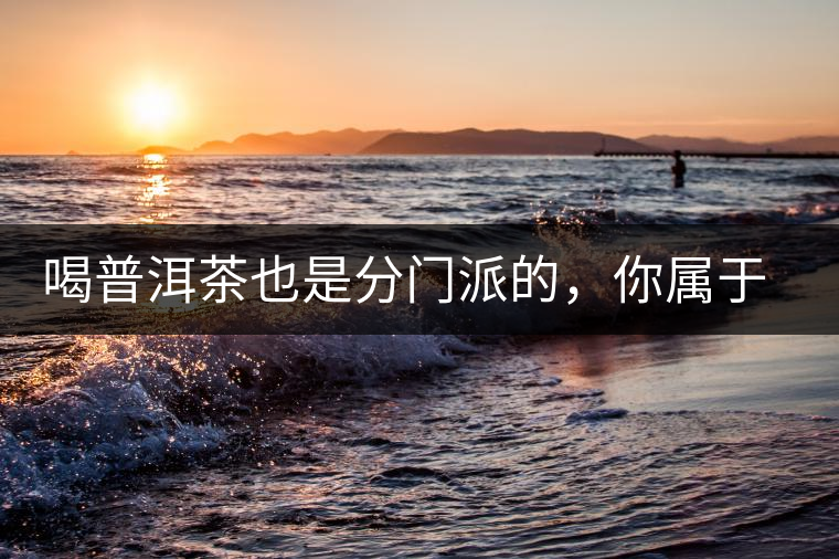 喝普洱茶也是分門派的，你屬于哪派呢？