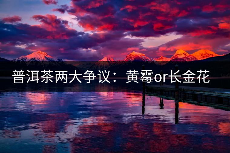 普洱茶兩大爭(zhēng)議：黃霉or長(zhǎng)金花，生蟲(chóng)or蟲(chóng)屎茶