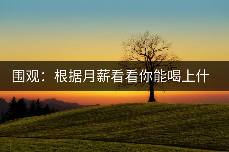 圍觀：根據(jù)月薪看看你能喝上什么茶？