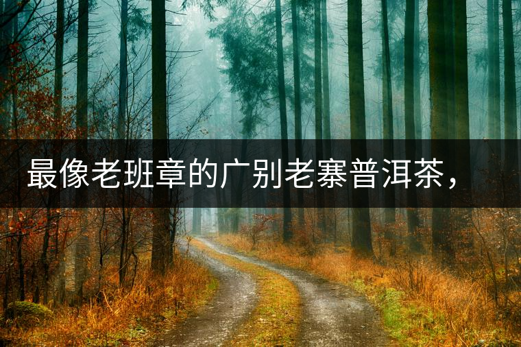 最像老班章的廣別老寨普洱茶，卻是冰島派來的臥底