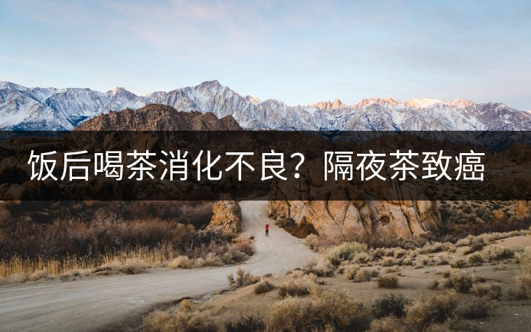 飯后喝茶消化不良？隔夜茶致癌？9個喝茶流言你該好好分個真假