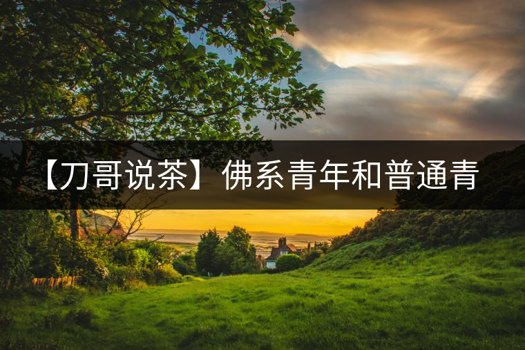 【刀哥說茶】佛系青年和普通青年之間，只差一杯茶