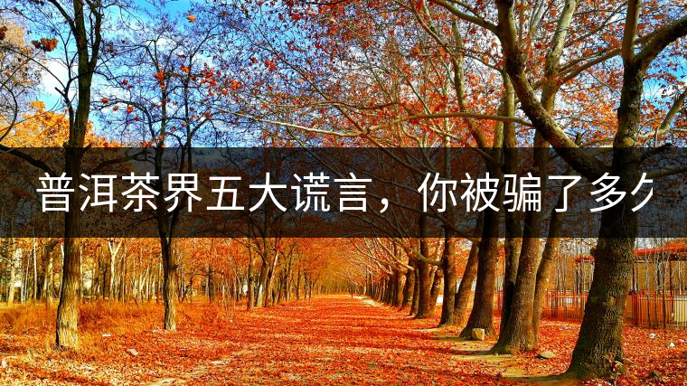 普洱茶界五大謊言，你被騙了多久？