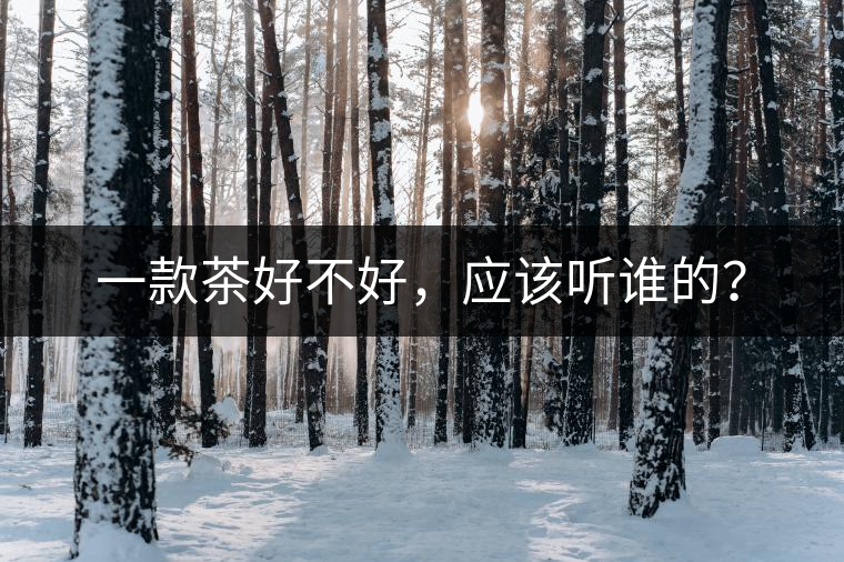 一款茶好不好，應(yīng)該聽誰的？