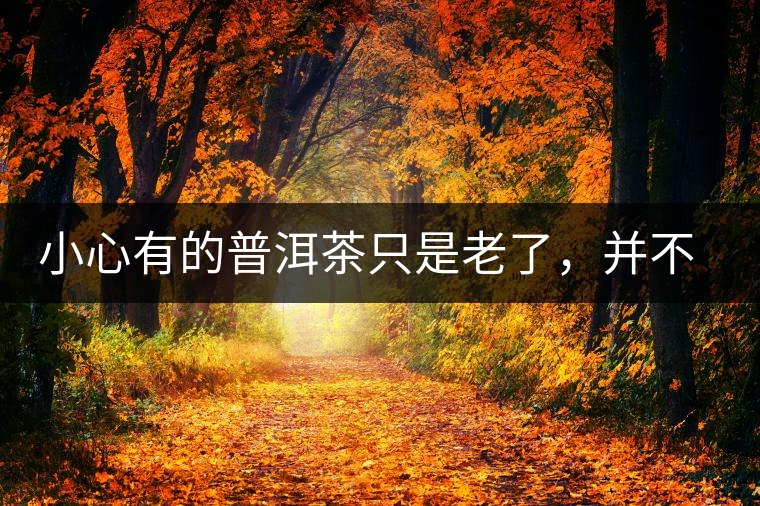 小心有的普洱茶只是老了，并不是好了
