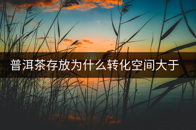 普洱茶存放為什么轉(zhuǎn)化空間大于品質(zhì) 普洱茶存放為什么轉(zhuǎn)化空間大于品質(zhì)