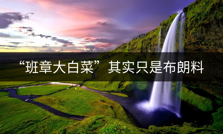 “班章大白菜”其實只是布朗料？