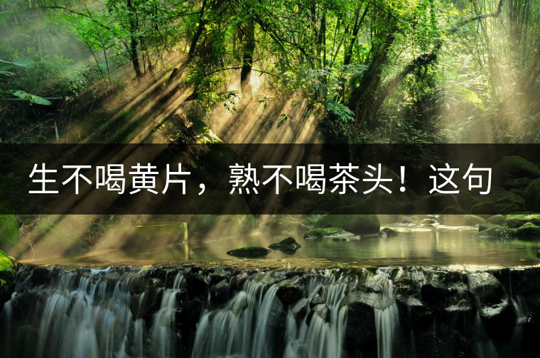 生不喝黃片，熟不喝茶頭！這句話你了解多少？