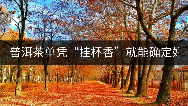 普洱茶單憑“掛杯香”就能確定好壞？you錯了！