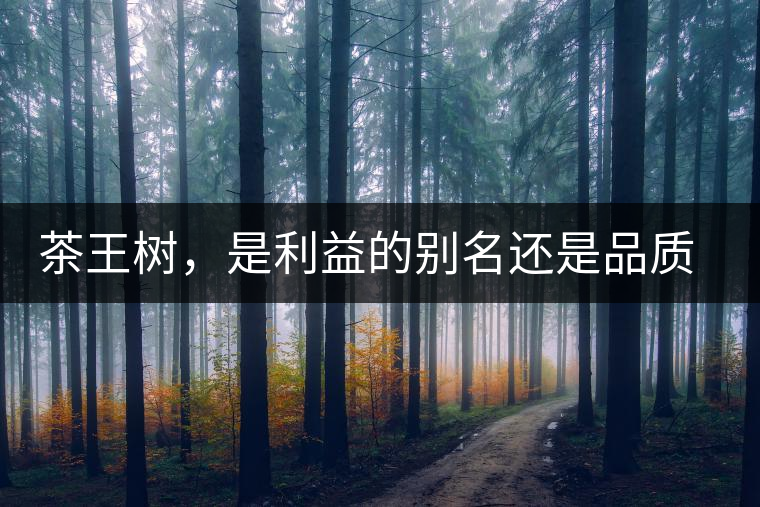 茶王樹，是利益的別名還是品質(zhì)的象征？