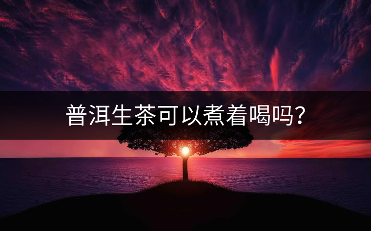 普洱生茶可以煮著喝嗎？