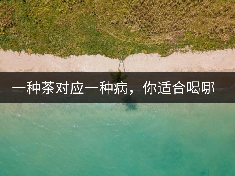 一種茶對應(yīng)一種病，你適合喝哪一種呢？